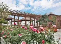 苏州瑞虹养老院 · 活动区