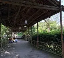 竹园颐老养生村 · 活动区
