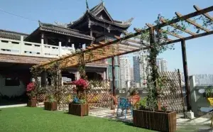 重庆市合川区文峯苑颐养中心 · 活动区