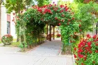 北京市顺义区和悦养老照料中心 · 活动区