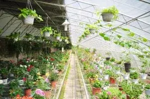 北京市延庆区天开瑞祥养生养老院 · 活动区