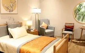 龙湖椿山万树·重庆新壹城颐年公寓 · 封面